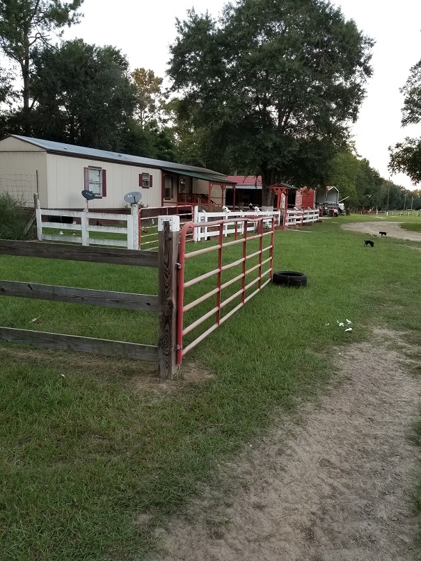 Horse Event Park Facility Sweetwater Horse Race Track